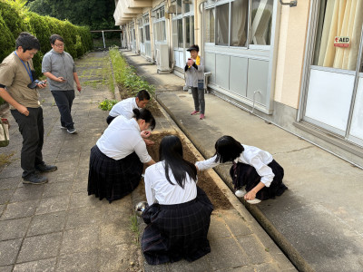 ②種植え１