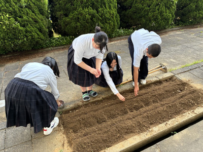 ④種植え３