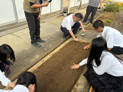 ⑤種植え４（校長先生参加）