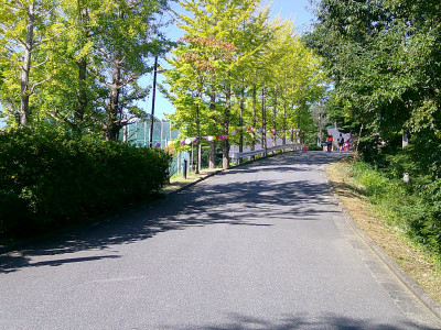 DSCF0105