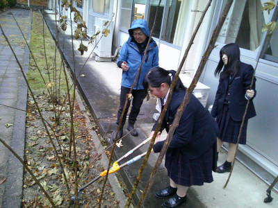 3 楮切っています②